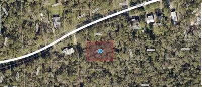 /international/us/river-road-astor-fl-110094160913/