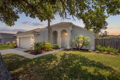 /international/us/382-fountainview-circle-oldsmar-fl-110107822819/