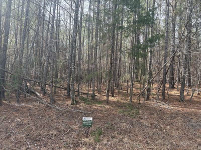 /international/us/block-72-lot-12-mccormick-sc-110107934391/