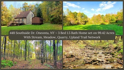 /international/us/448-southside-drive-oneonta-ny-110102926556/
