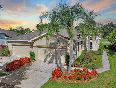 /international/us/1226-lyndhurst-greens-drive-sun-city-center-fl-110101070307/