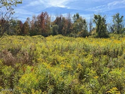 /international/us/l27-duanesburg-road-duanesburg-ny-110102426043/