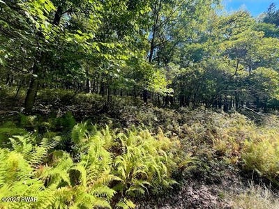 /international/us/squirrel-road-lot-426-dingmans-ferry-pa-110102402520/