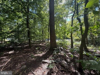 /international/us/dogwood-road-lot-59-harrisburg-pa-110120067400/