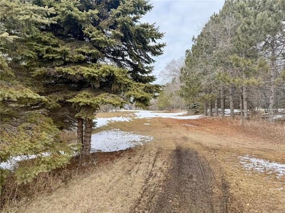 /international/us/tbd-randolph-road-detroit-twp-mn-110106328641/
