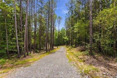 /international/us/pete-path-lot-1-dallas-ga-110109140378/