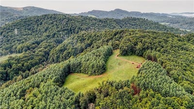 /international/us/00-lot-20-new-hope-church-road-laurel-springs-nc-110120004557/
