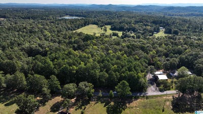/international/us/0-rock-springs-road-ohatchee-al-110094190172/