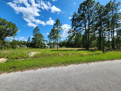 /international/us/malauka-radial-run-ocklawaha-fl-110100776007/?lang=zh-cn