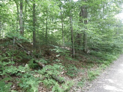 /international/us/lot-005-hebo-hybo-road-acton-me-110101029022/?lang=zh-tw
