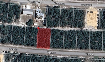 /international/us/7728-wynn-street-sebring-fl-110120090906/