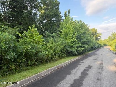 /international/us/lot-16-woodland-creek-dandridge-tn-110100589477/?lang=zh-tw