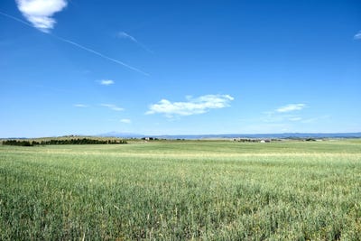 /international/us/tbd-heidemann-rd-franktown-co-110095398972/?lang=zh-cn