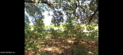 /international/us/304-ridge-road-satsuma-fl-110085056316/