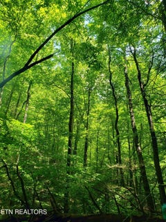 /international/us/watson-branch-lane-speedwell-tn-110101066971/?lang=zh-tw