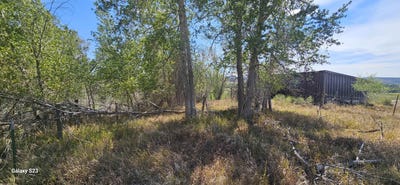 /international/us/tbd-underwoods-lane-montrose-co-110101399557/