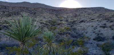 /international/us/1-red-fox-rd-terlingua-tx-110104789327/