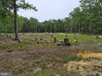 /international/us/pine-street-mays-landing-nj-110109011495/