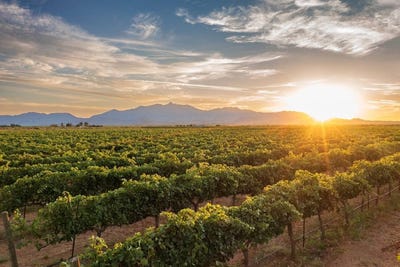 /international/us/pillsbury-wine-company-6450-south-bennett-place-willcox-az-110096599474/?lang=en