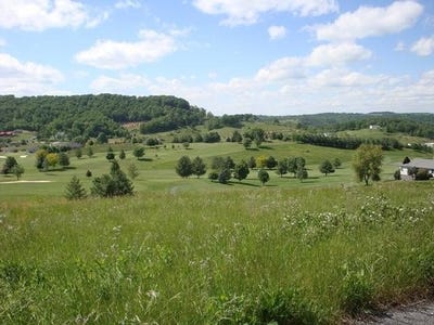 /international/us/birdie-drive-peterstown-wv-110108023406/