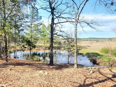 /international/us/820-blow-out-mtn-road-pencil-bluff-ar-110100976401/