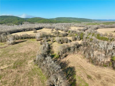 /international/us/fourche-river-road-parks-ar-110105055360/