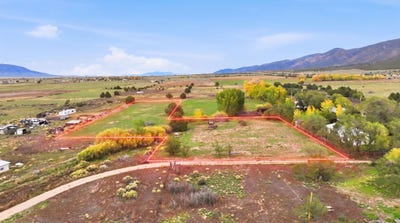 /international/us/post-office-road-cerro-nm-110103692761/
