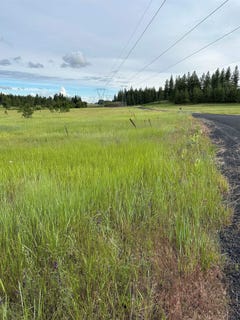 /international/us/n-whitetail-lane-gg-chattaroy-wa-110103440085/
