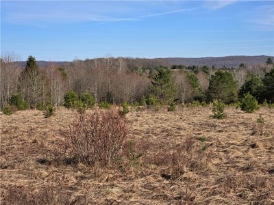 /international/us/0-bourne-hill-road-morris-ny-110098450267/?lang=zh-tw