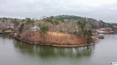 /international/us/lake-ridge-point-talladega-al-110098163020/?lang=zh-tw