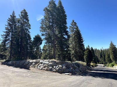 /international/us/42142-opal-lane-shaver-lake-ca-110119301378/