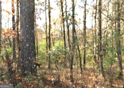 /international/us/e-midland-avenue-winder-ga-110106790447/