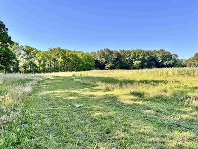 /international/us/11552-e-state-road-16-idaville-in-110100720118/