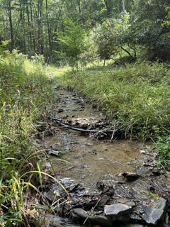 /international/us/230-little-river-retreat-rd-bartow-wv-110119922595/