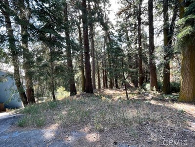 /international/us/0-lakeland-view-cedarpines-park-ca-110079501681/?lang=zh-tw