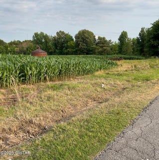 /international/us/314-palestine-road-newbern-tn-110099995994/?lang=zh-cn