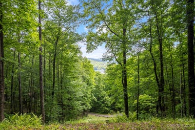 /international/us/lt-12a-von-trapp-lane-unit-12a-tuckasegee-nc-110085102717/?lang=en
