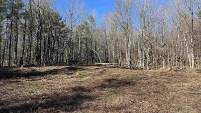 /international/us/dix-hill-road-lot-23-plymouth-vt-110107763359/