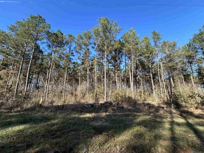 /international/us/lot-15-butterbean-ridge-livingston-la-110104875856/
