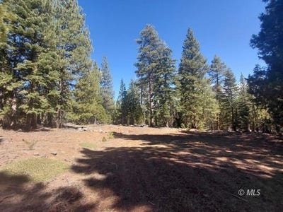 /international/us/4-horizon-rd-alturas-ca-110109119868/