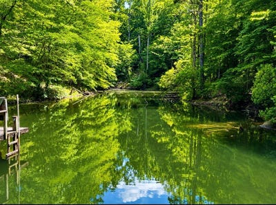 /international/us/897-county-road-45-fort-deposit-al-110108552773/
