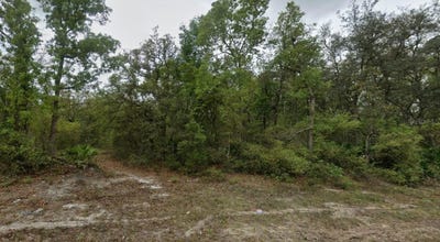/international/us/highline-trail-satsuma-fl-110103385653/