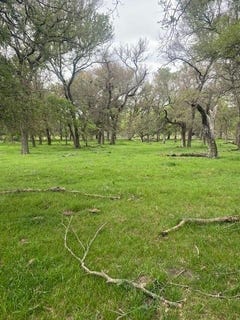 /international/us/430-county-road-152-riesel-tx-110107085498/