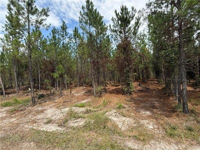 /international/us/0-lot-4-corbitt-road-manor-ga-110101195853/