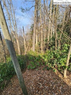 /international/us/poplar-ridge-road-boone-nc-110108480720/