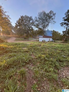 /international/us/15806-highway-82-lot-1-duncanville-al-110110127792/