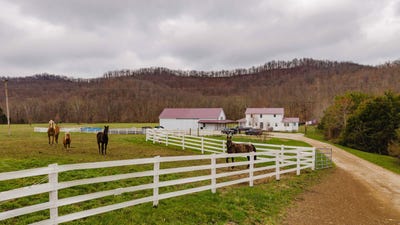 /international/us/2509-pine-grove-road-olympia-ky-110098333009/