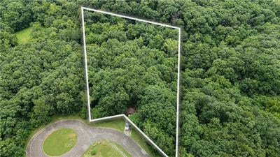 /international/us/se-591-road-lot-67-warrensburg-mo-110108902393/