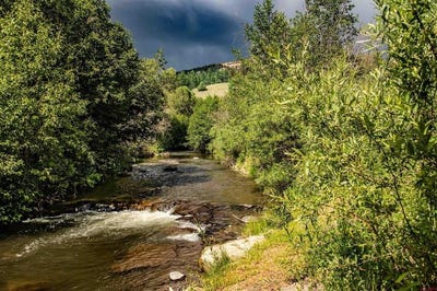 /international/us/101-county-road-339-pagosa-springs-co-110097015902/