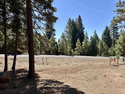 /international/us/315-top-of-the-west-drive-lake-almanor-west-ca-110102429935/